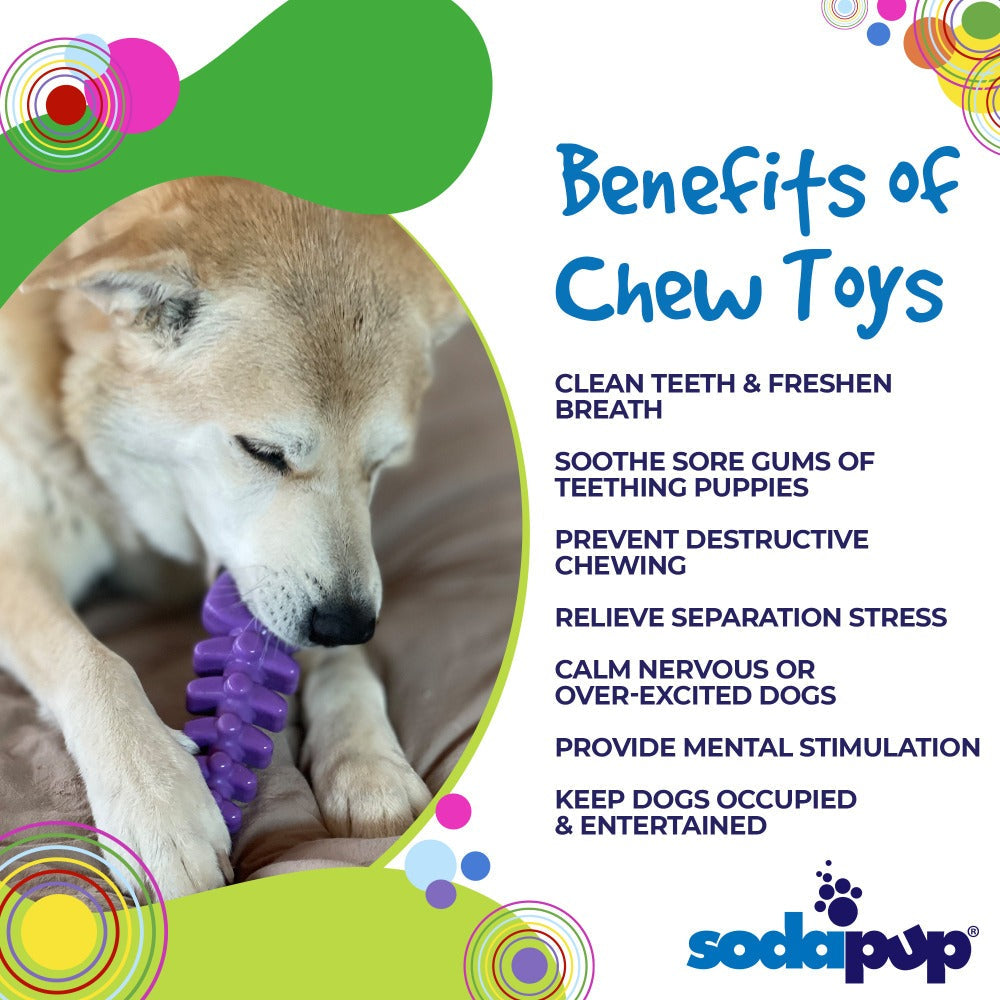 Fish Bone Nylon Chew Toy