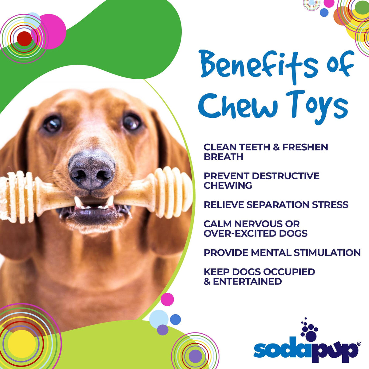 Honey Bone Nylon Chew Toy