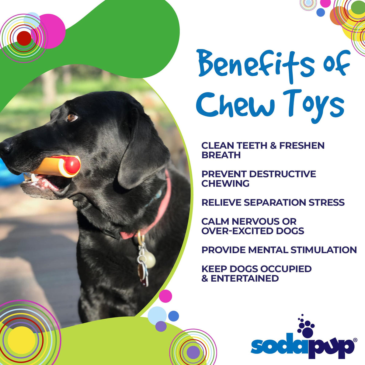 Hot Dog Nylon Chew Toy