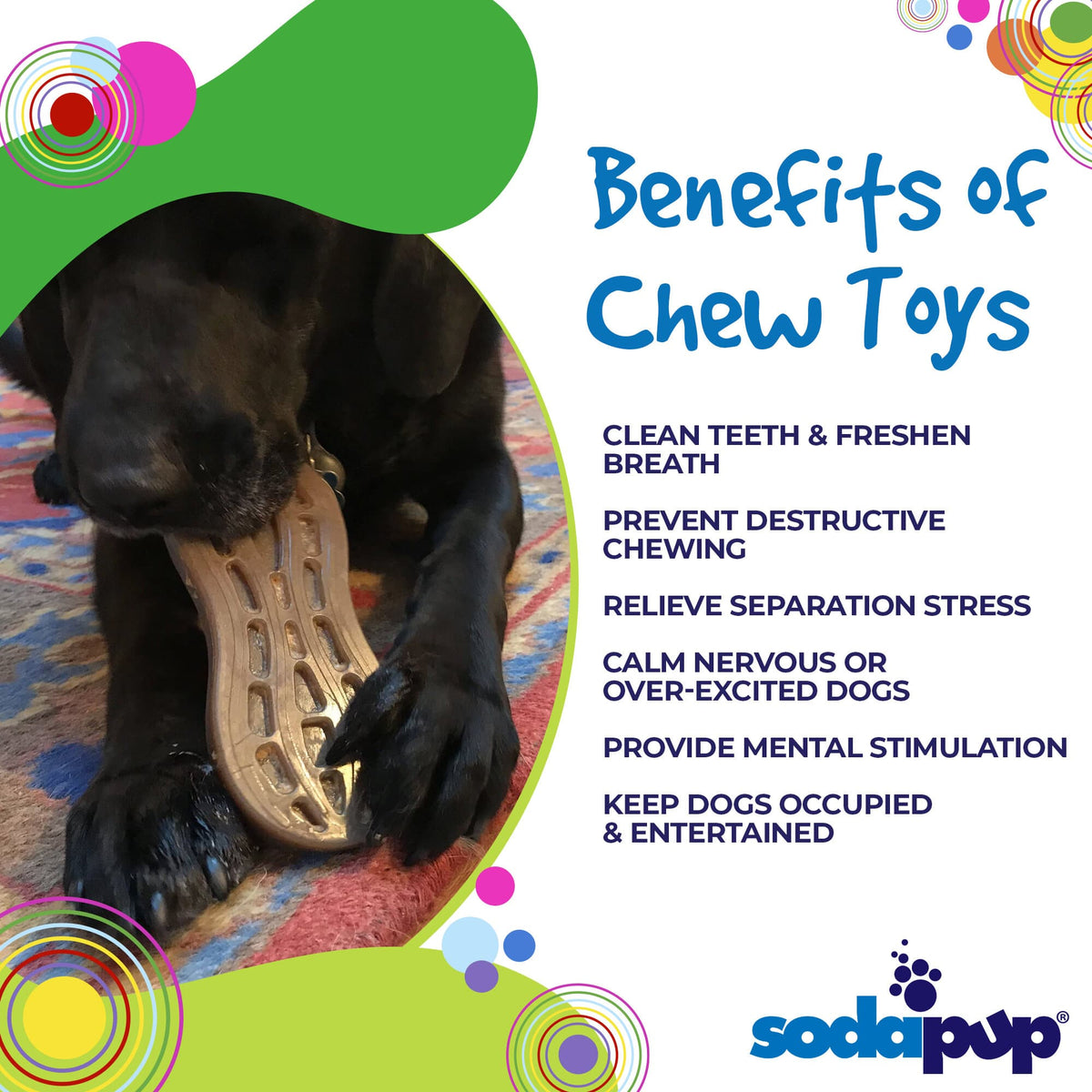 Peanut Nylon Chew Toy