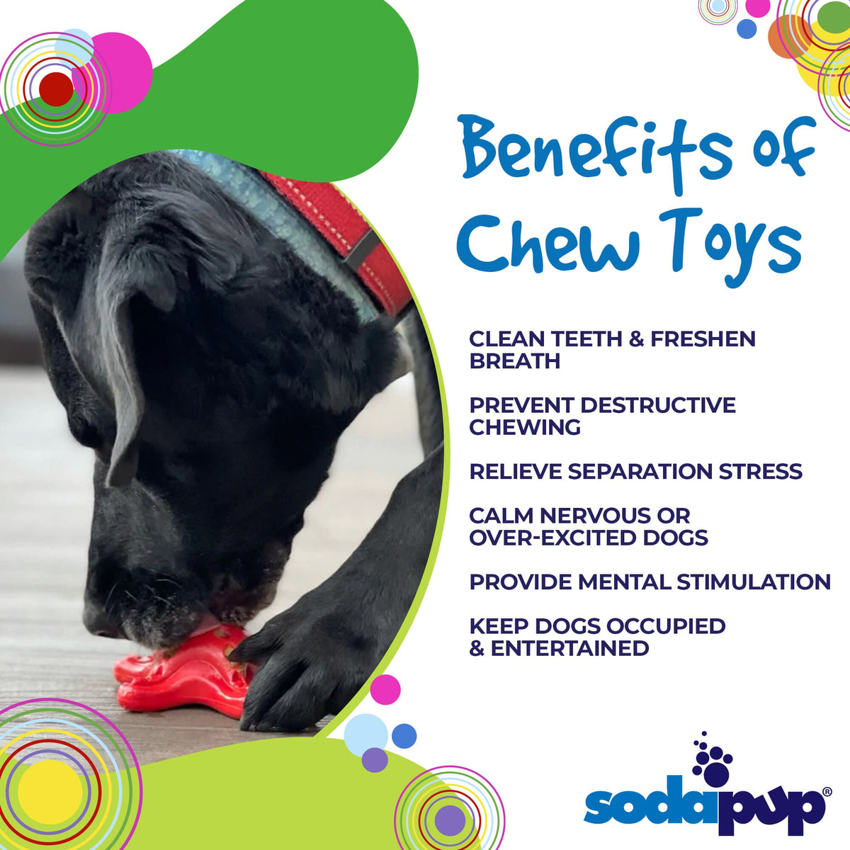 Starfish Nylon Chew Toy