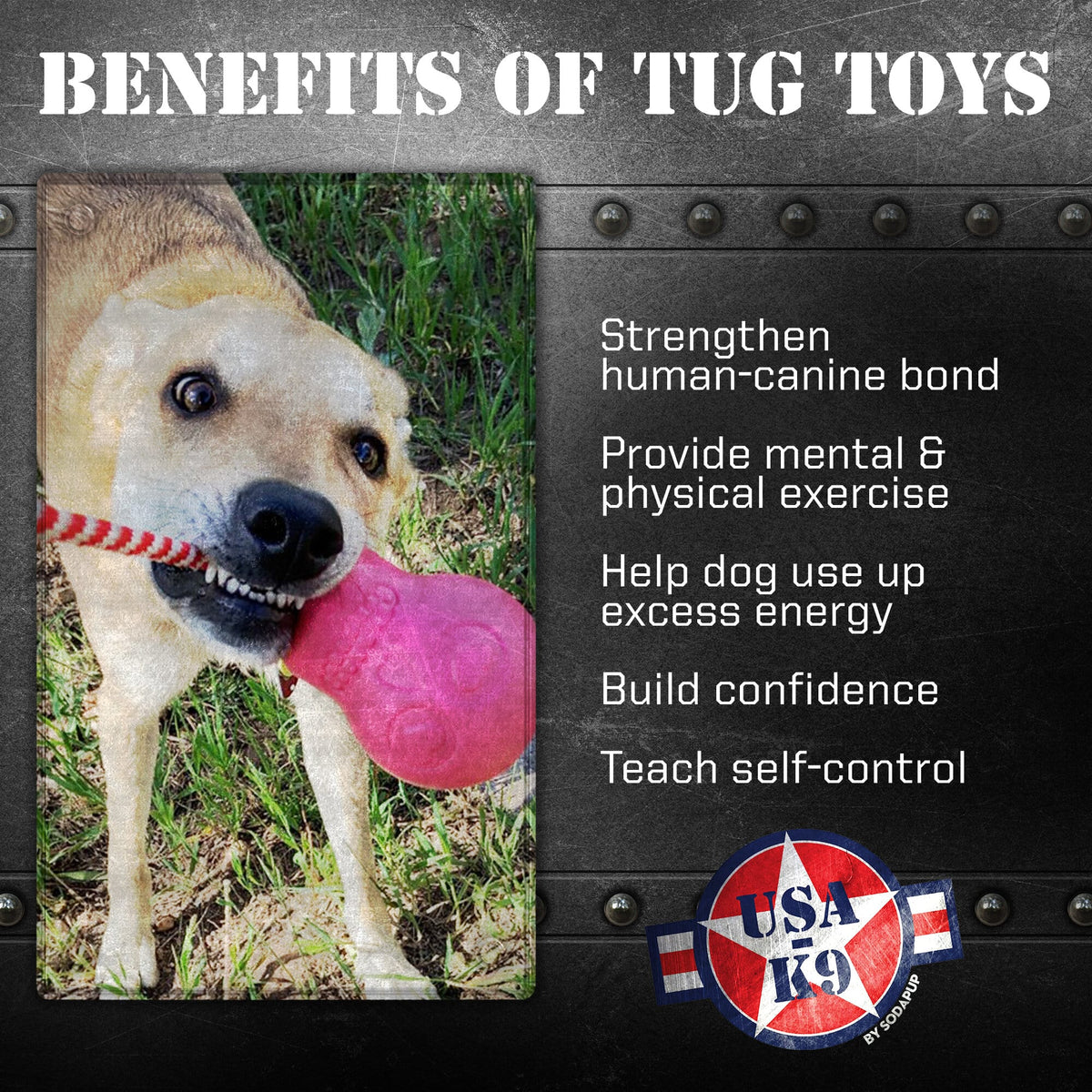 USA-K9 Skull Chew Toy and Treat Dispenser Large