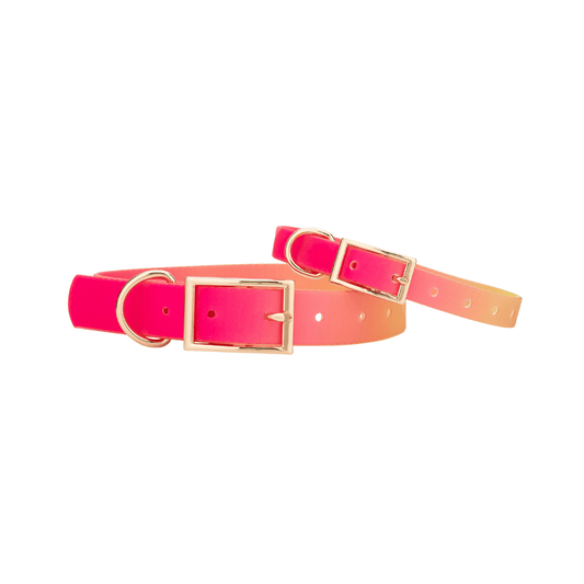 Katelin Dog Collar, waterproof and quick-dry, sizes XS to L, Pink Papyrus Co., sold through Sniff and Shift