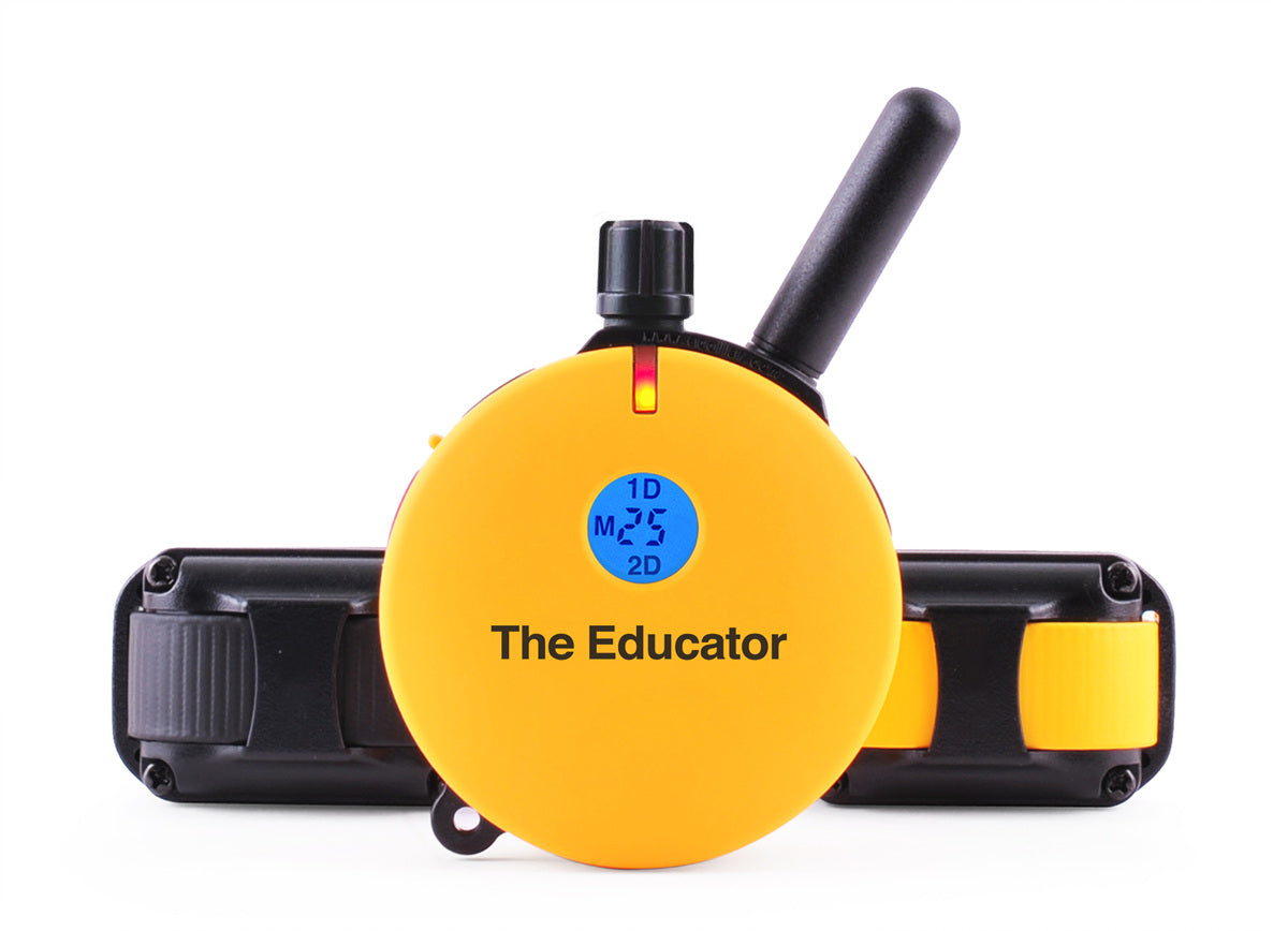 Educator ET-402 two-dog remote training collar 3/4 mile