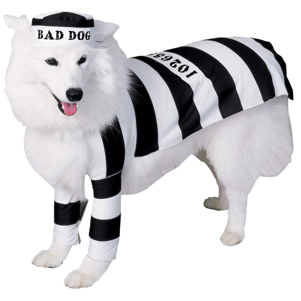 Dog wearing the Prisoner Dog Costume in Large, Halloween Store, sold through Sniff and Shift