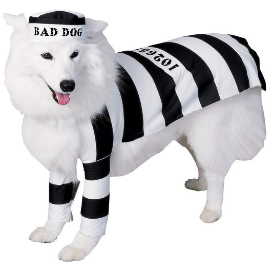 Dog wearing the Prisoner Dog Costume in Large, Halloween Store, sold through Sniff and Shift