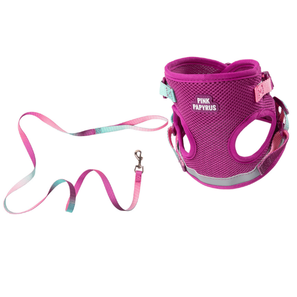 Joana Cat Harness & Leash Set in purple, sizes Small to Large, Pink Papyrus Co., sold through Sniff and Shift