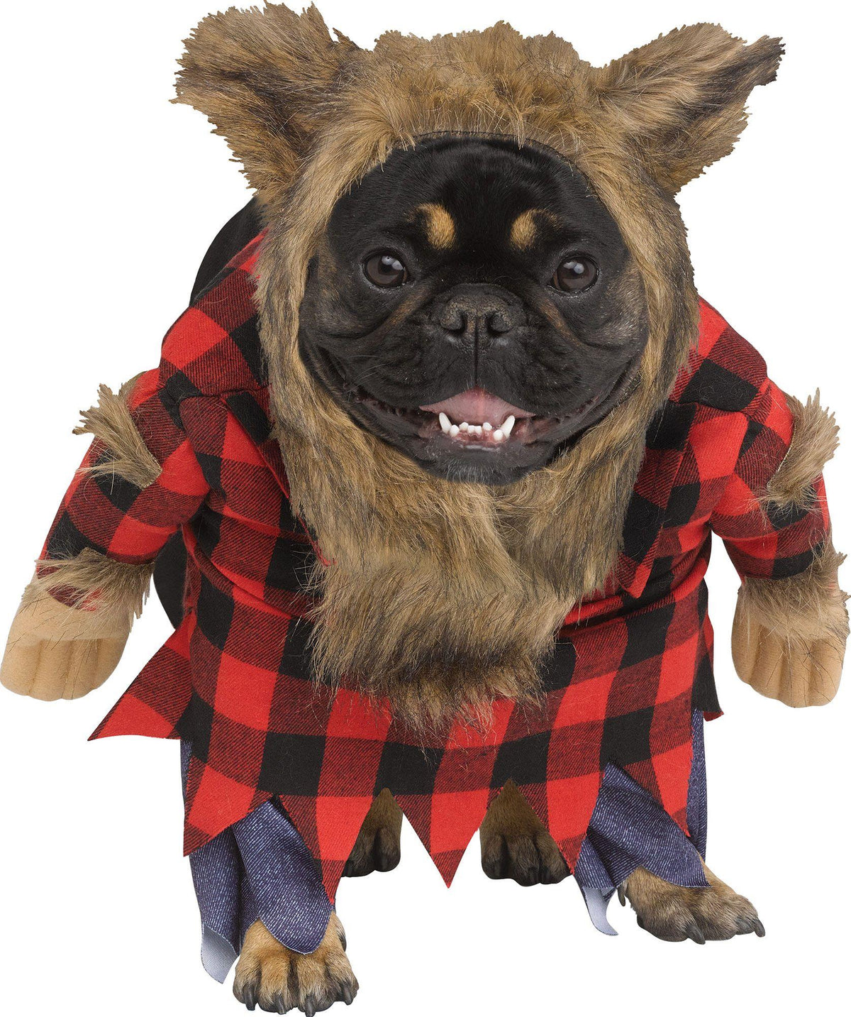 Dog wearing the Werewolf Dog Costume in Large, Halloween Store, sold through Sniff and Shift