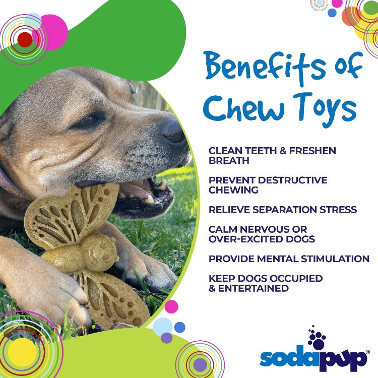 Butterfly Nylon Chew and Enrichment Toy