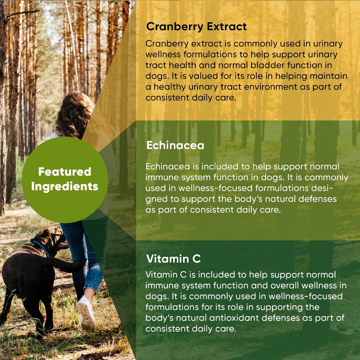 Urinary Support for Dogs