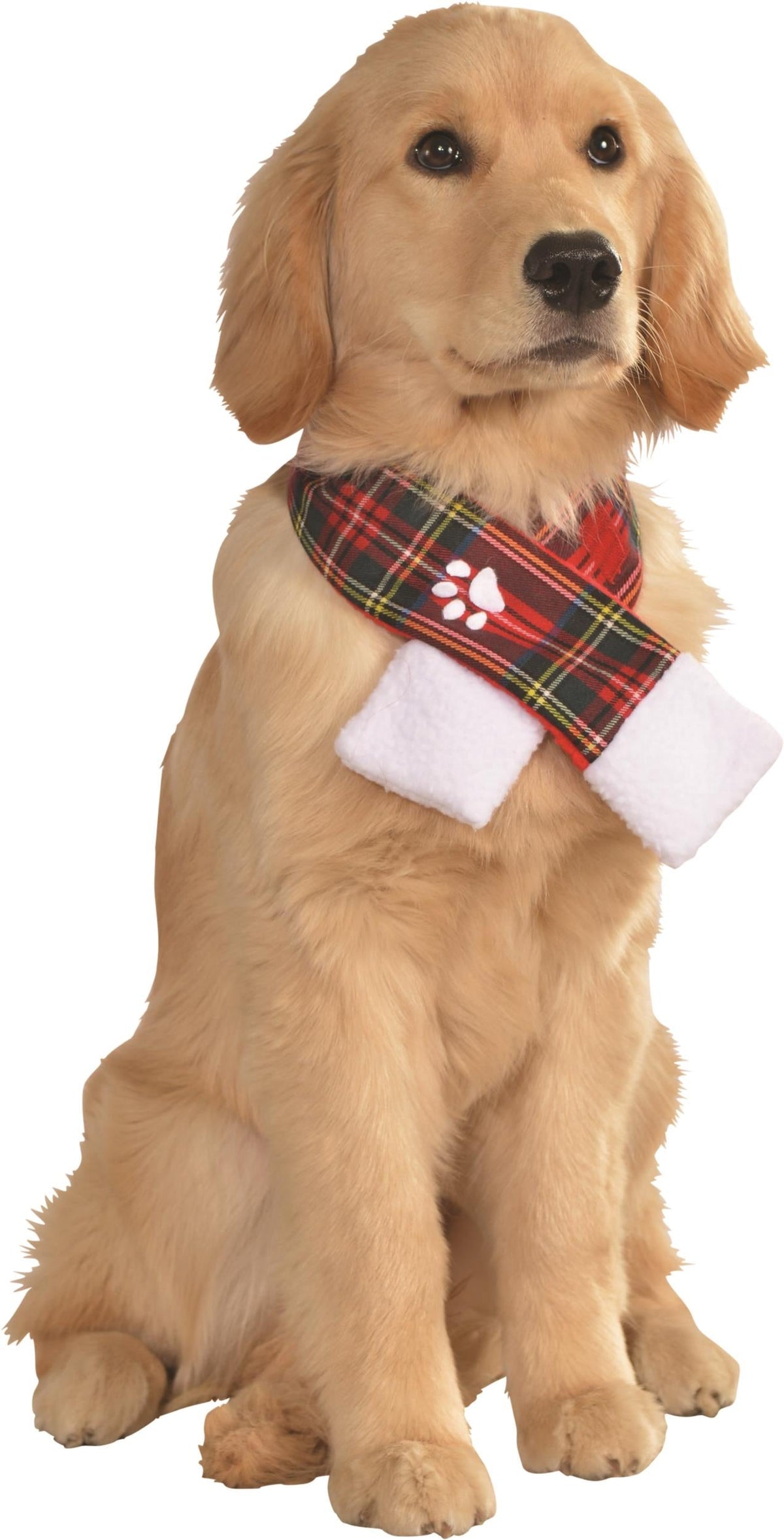 Small pet wearing the Christmas Plaid Pet Scarf, Halloween Store, sold through Sniff and Shift