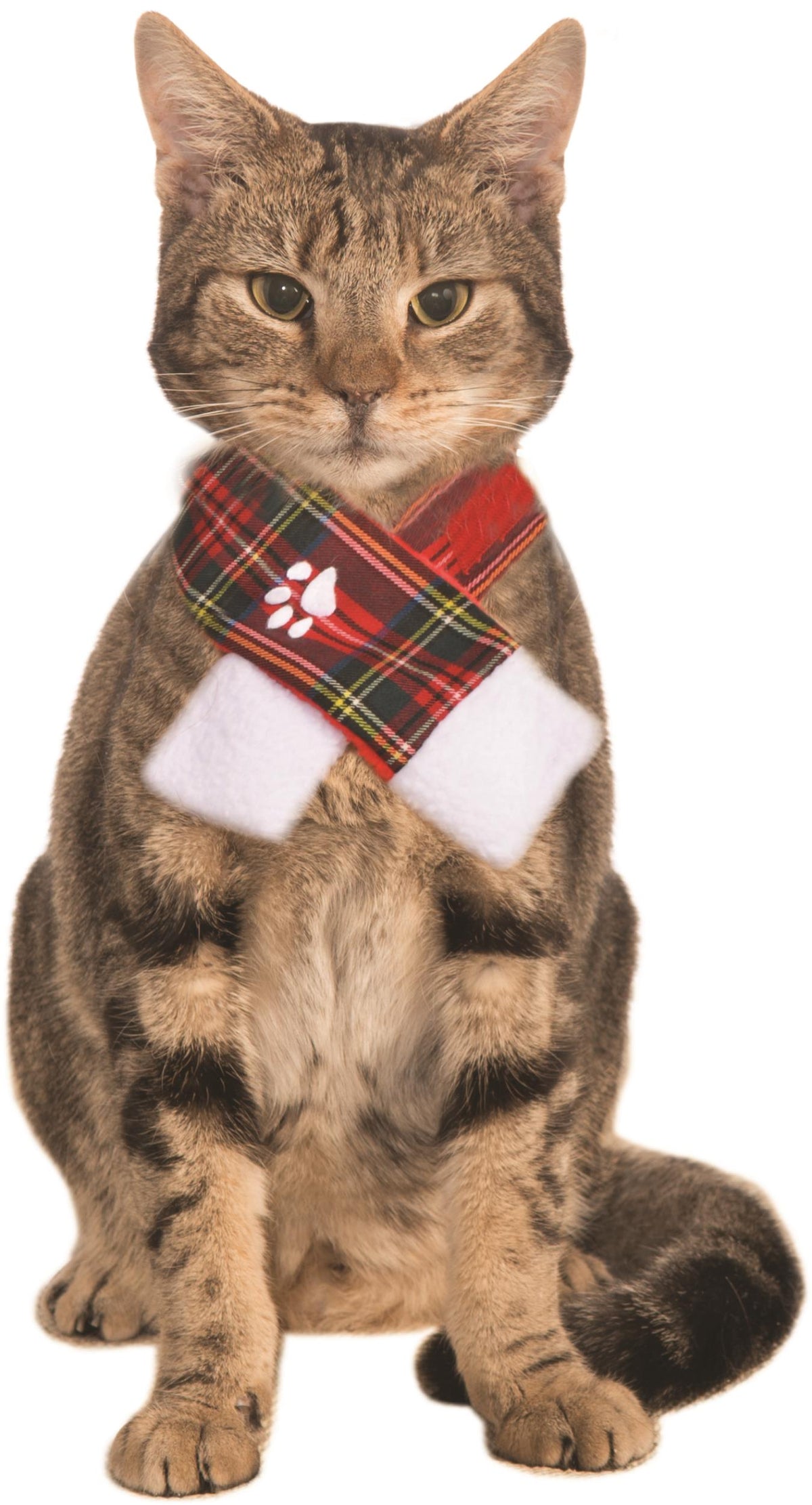Christmas Plaid Pet Scarf, Small/Medium