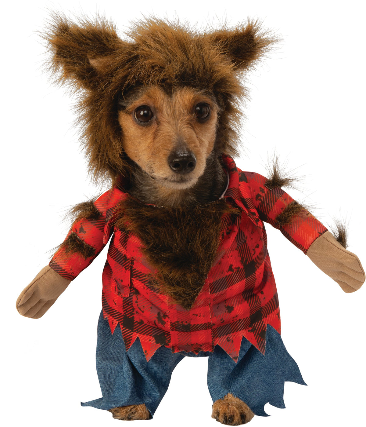 Dog wearing the Walking Werewolf Dog Costume, Halloween Store, sold through Sniff and Shift