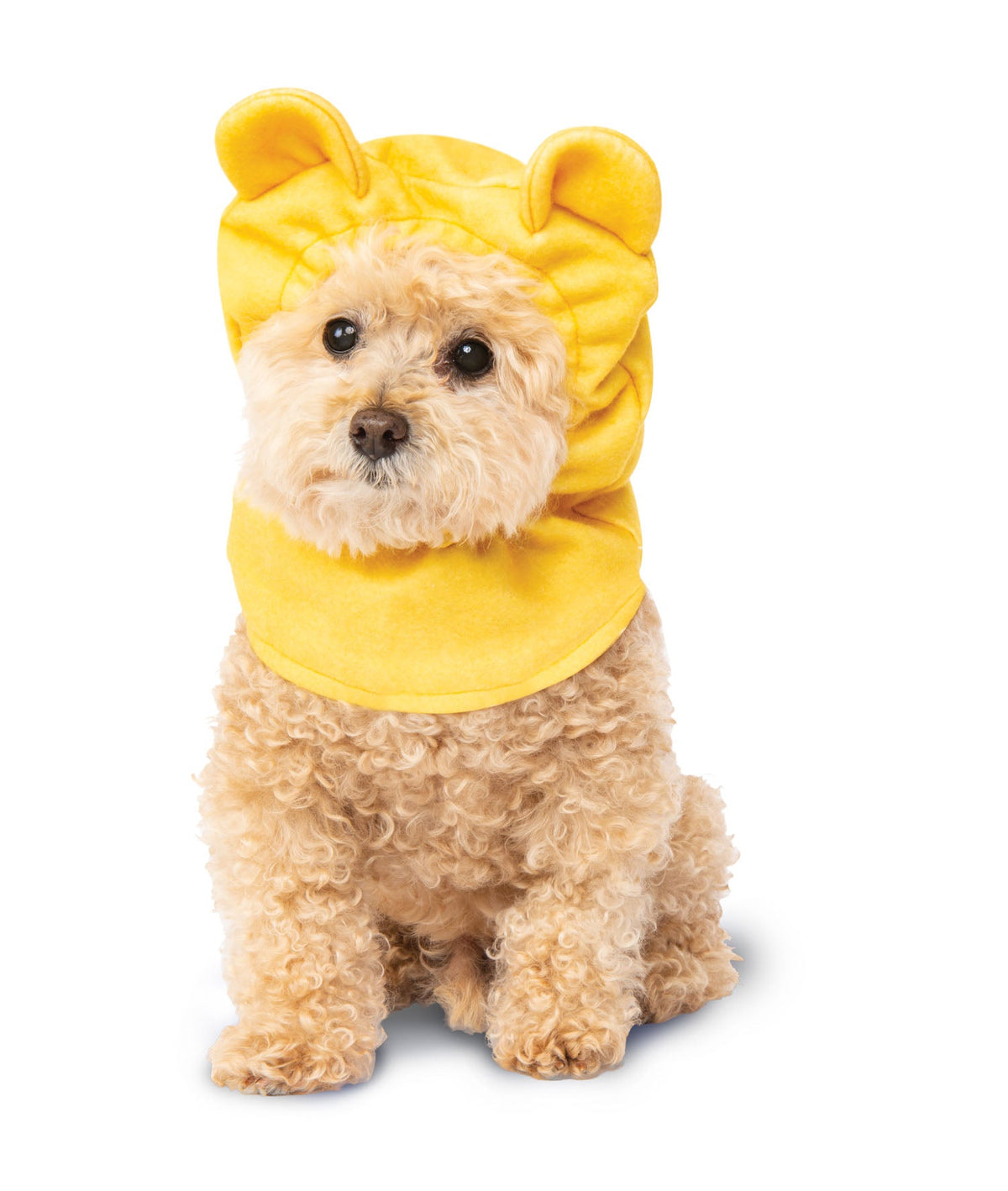 Dog wearing the Winnie the Pooh Pet Costume Headpiece, Halloween Store, sold through Sniff and Shift