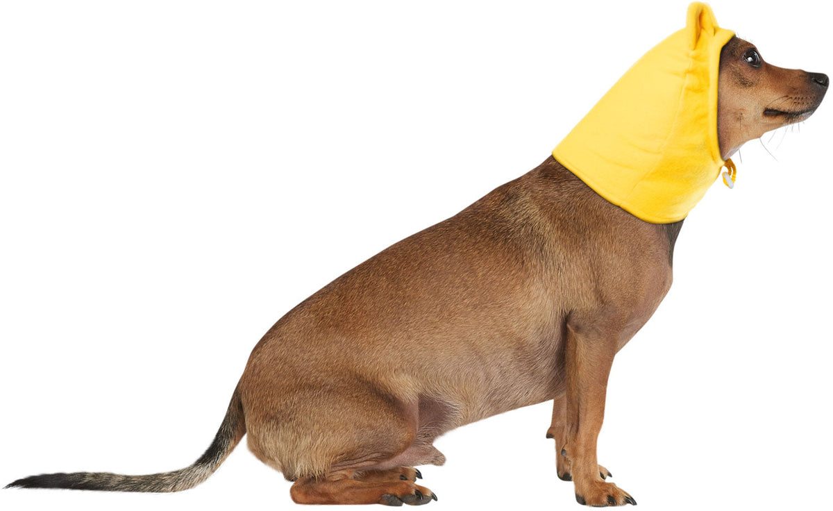 Winnie the Pooh Pet Costume Headpiece