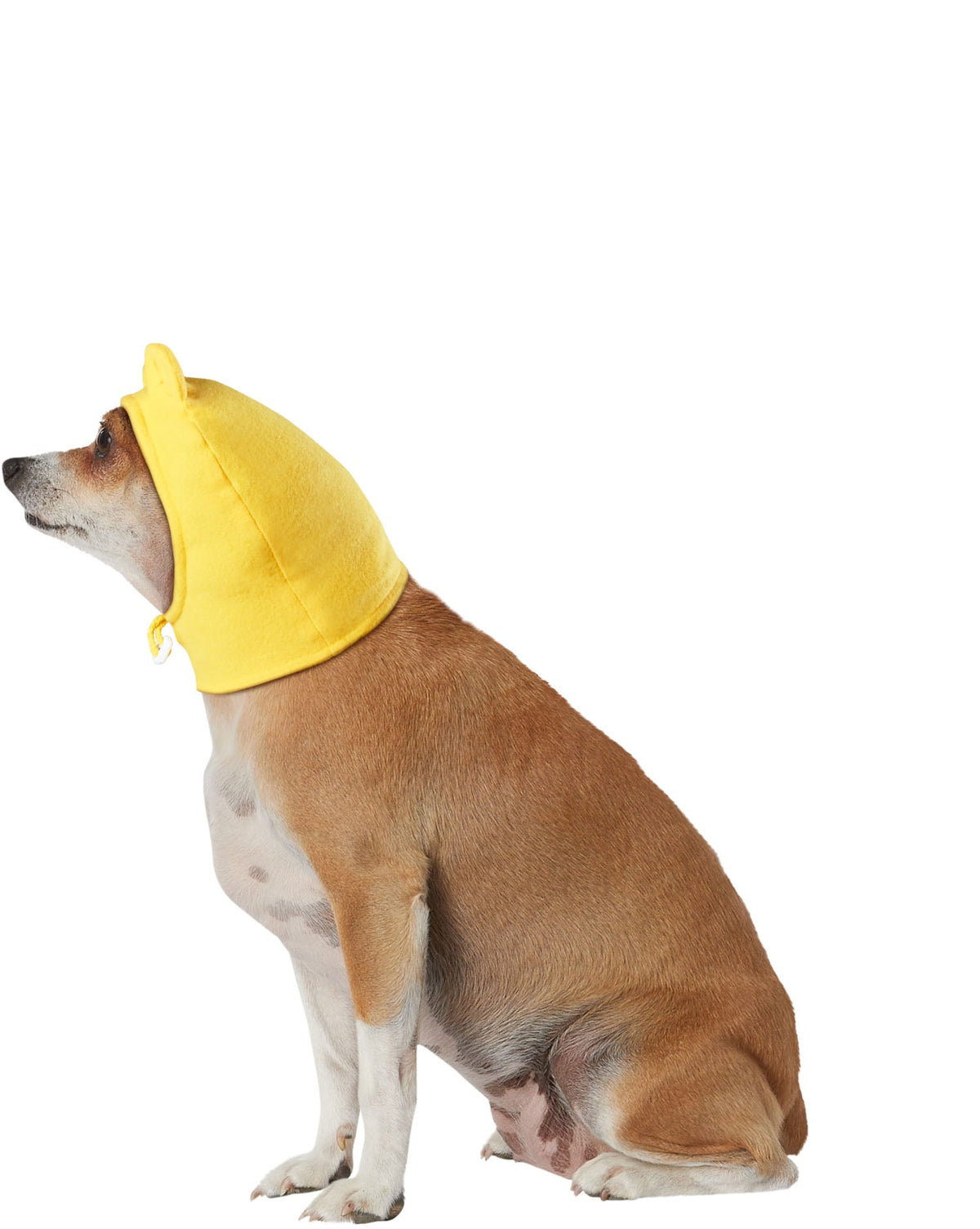 Winnie the Pooh Pet Costume Headpiece