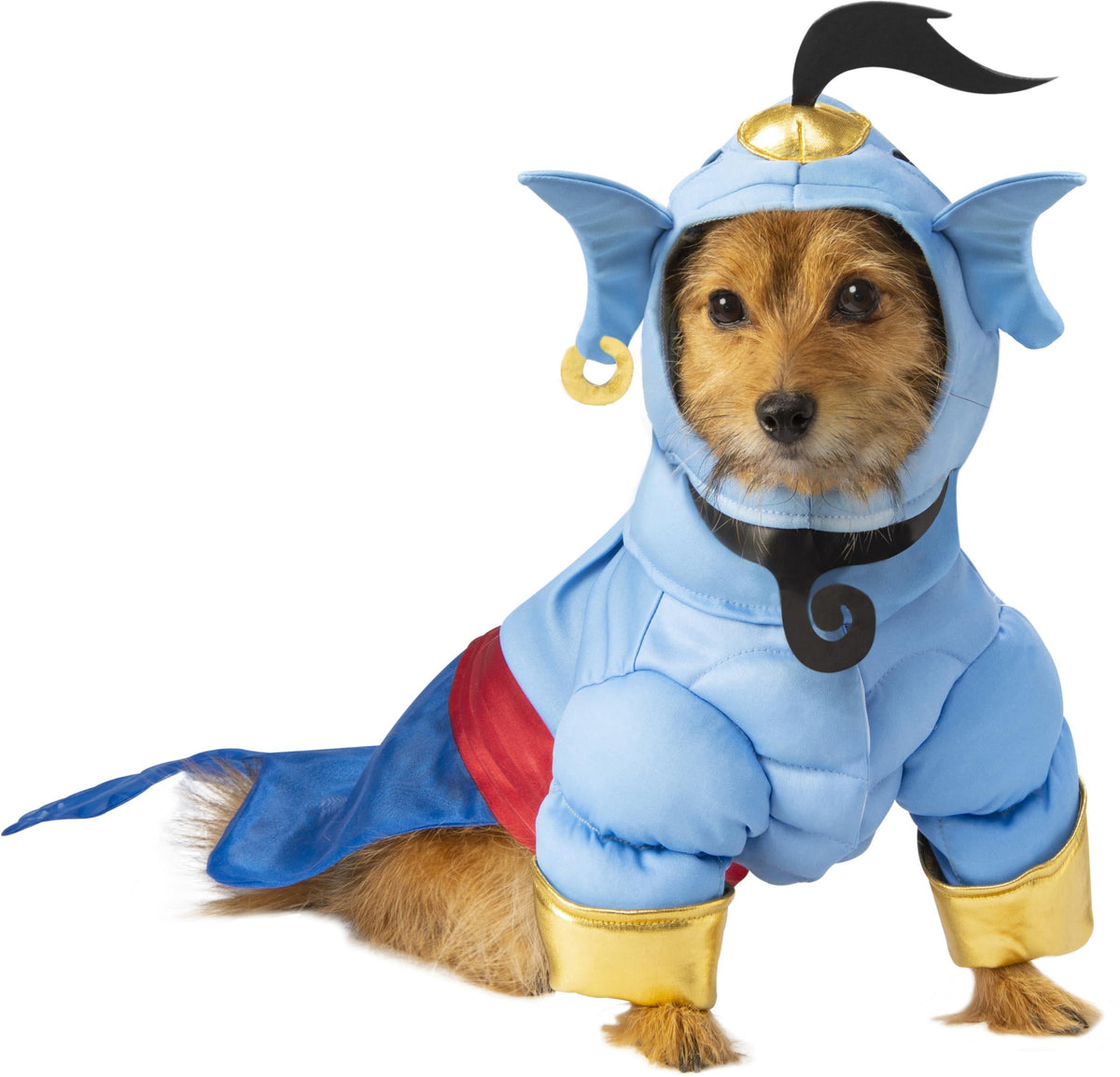 Dog wearing the Aladdin Genie Pet Costume, Halloween Store, sold through Sniff and Shift