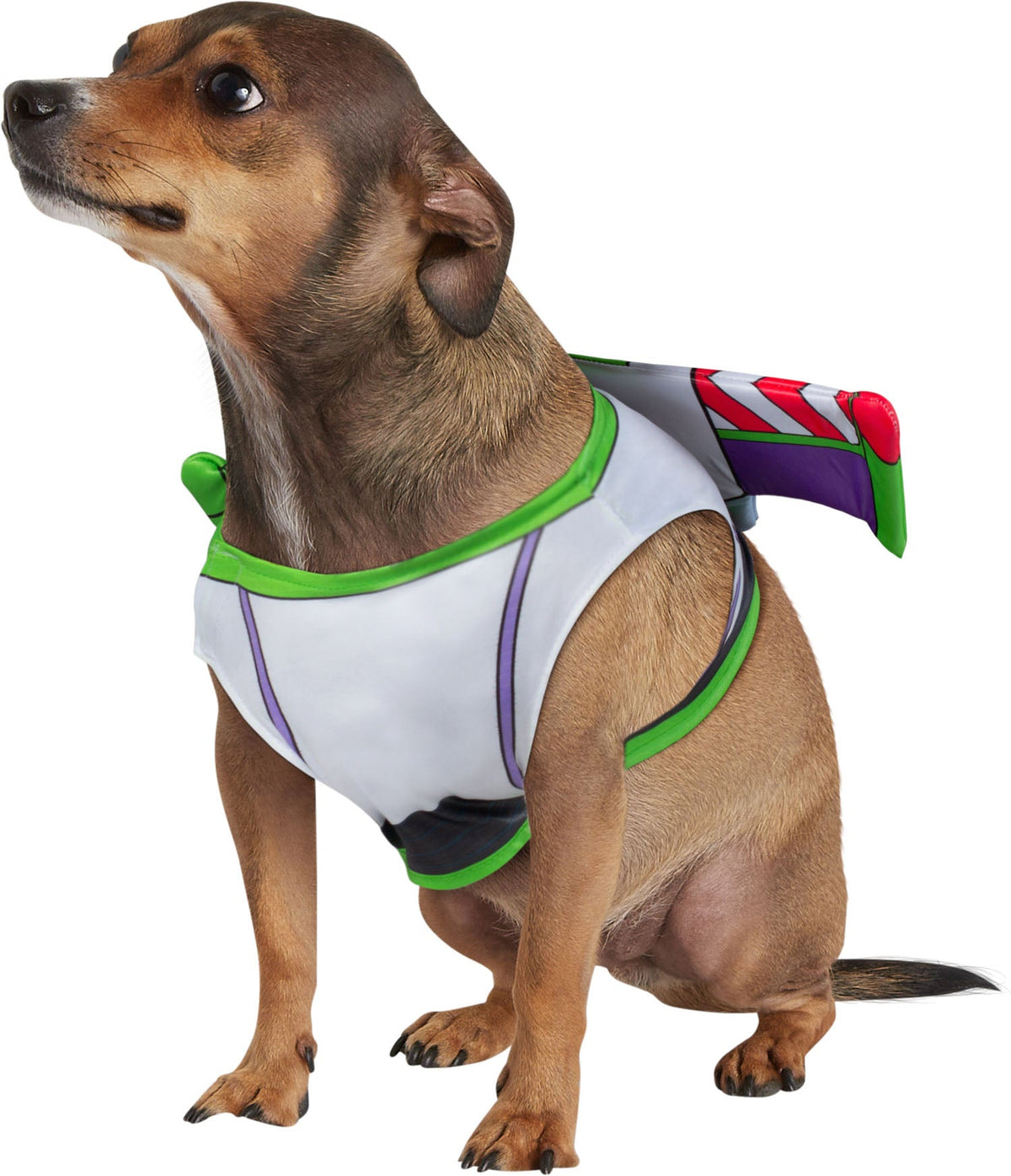 Buzz Lightyear Pet Costume