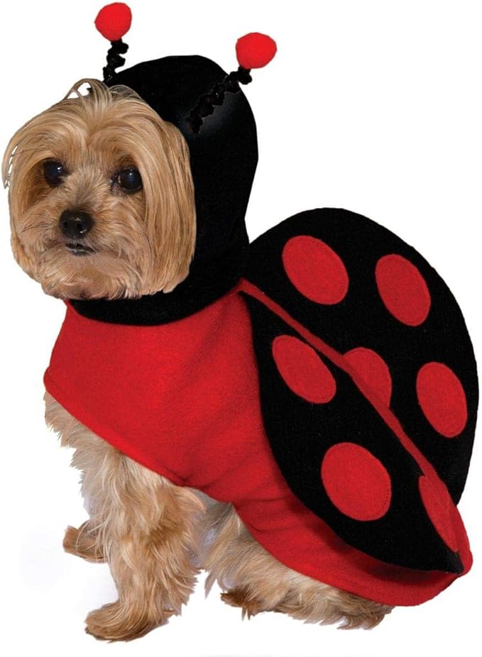 Pet wearing the Lady Bug Pet Costume tunic and hood, Halloween Store, sold through Sniff and Shift