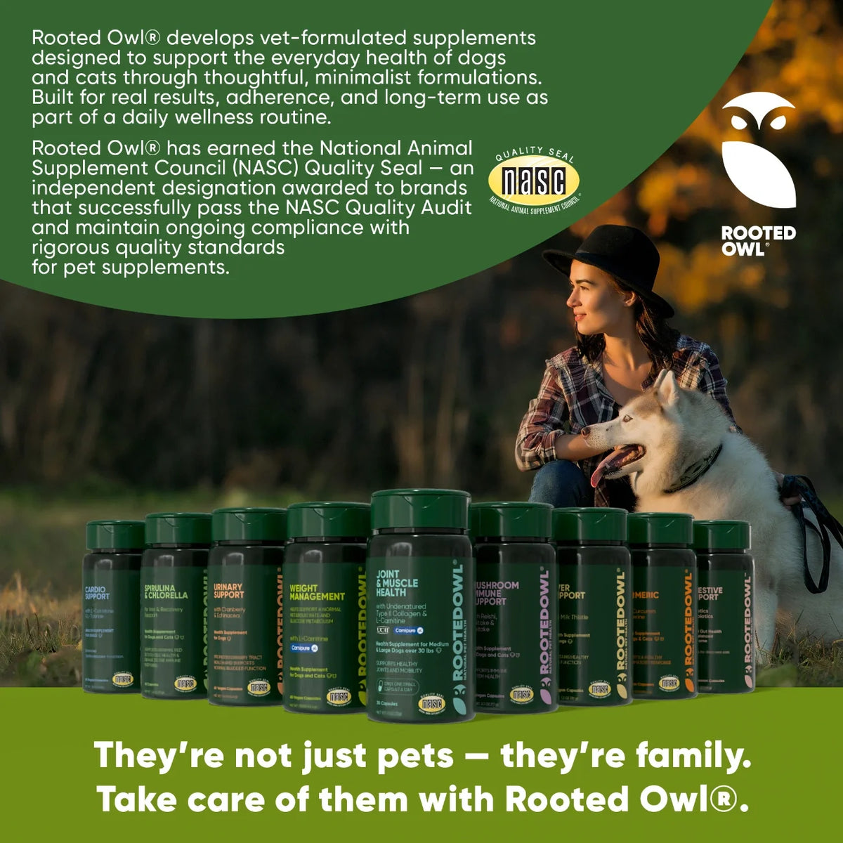 Joint & Muscle Health for Cats & Small Dogs