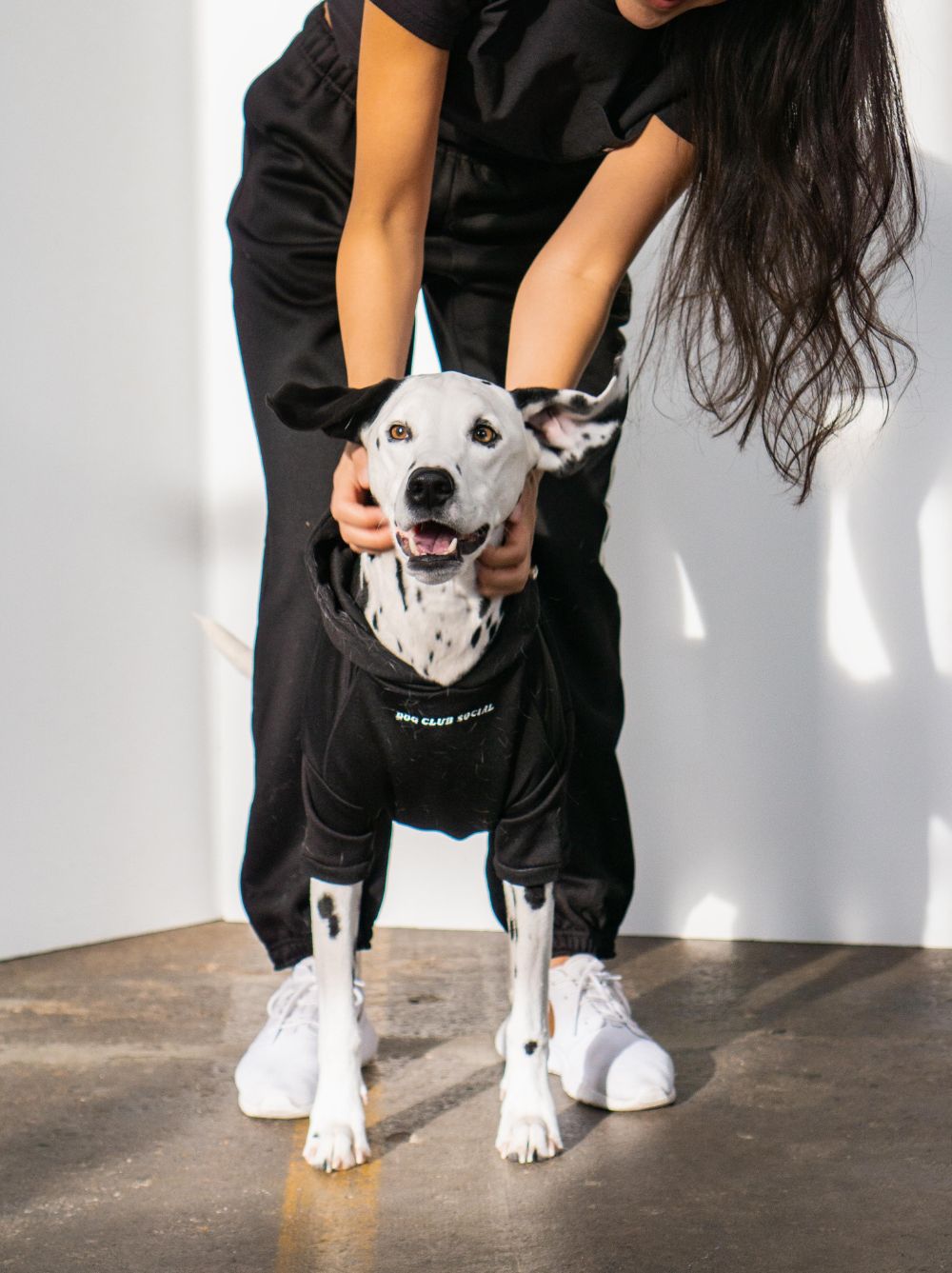 Dog wearing the Black Fleece Hoodie in heavyweight fleece, Good Thomas, sold through Sniff and Shift
