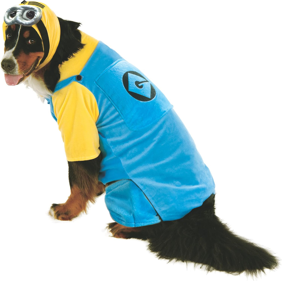 Dog wearing the Minion Pet Costume, Halloween Store, sold through Sniff and Shift
