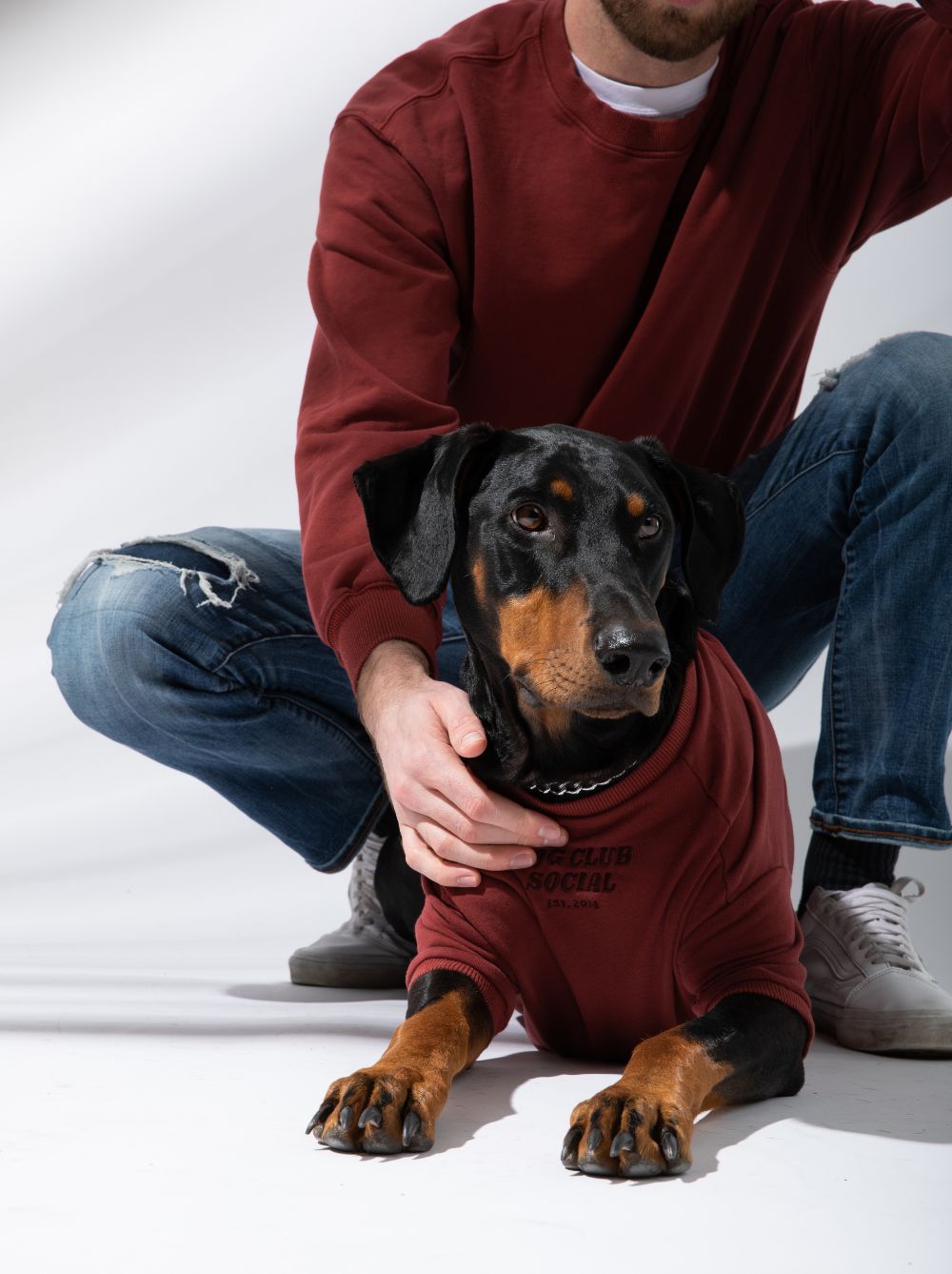 Terry Pullover, Maroon, Dog and Adult Sizes