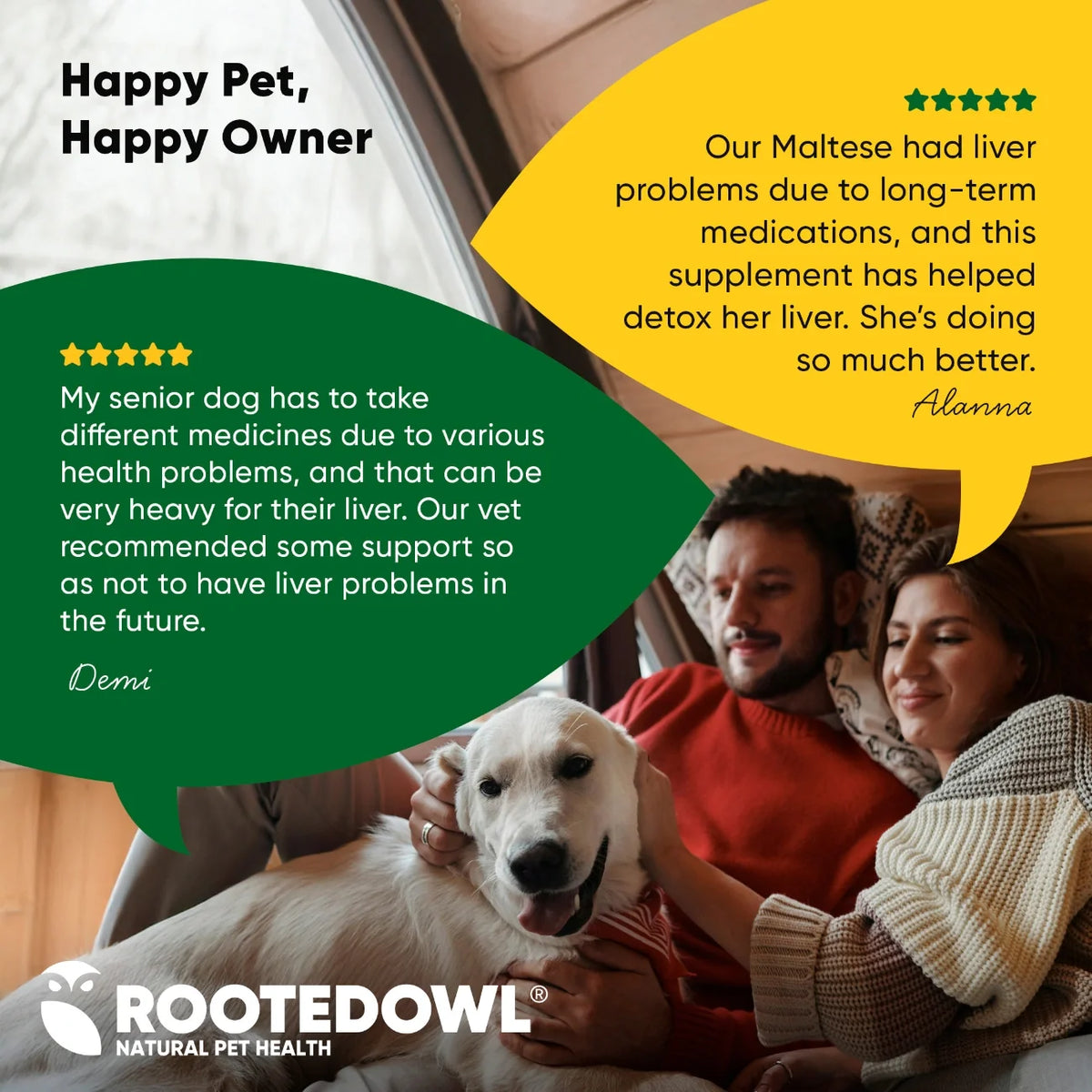 Liver Support for Dogs