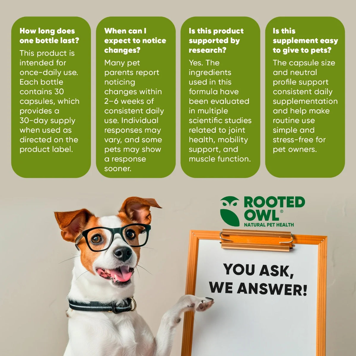 Joint & Muscle Health for Cats & Small Dogs