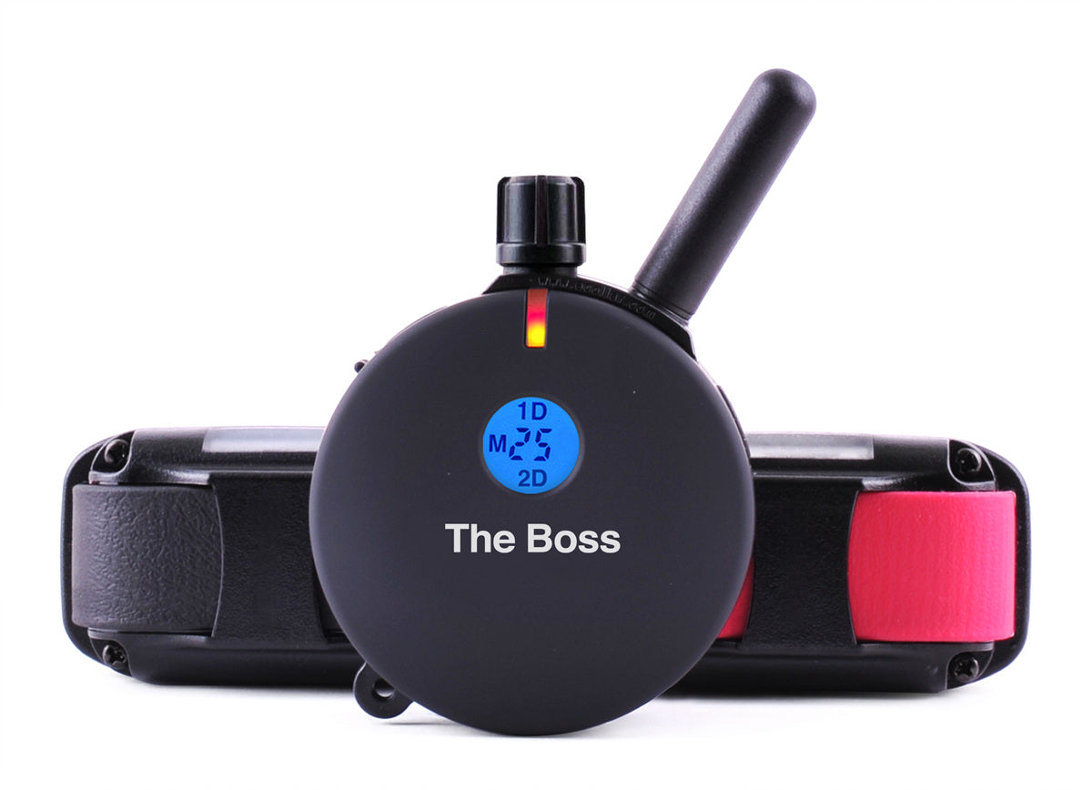 The Boss ET-802 two-dog big dog remote training collar