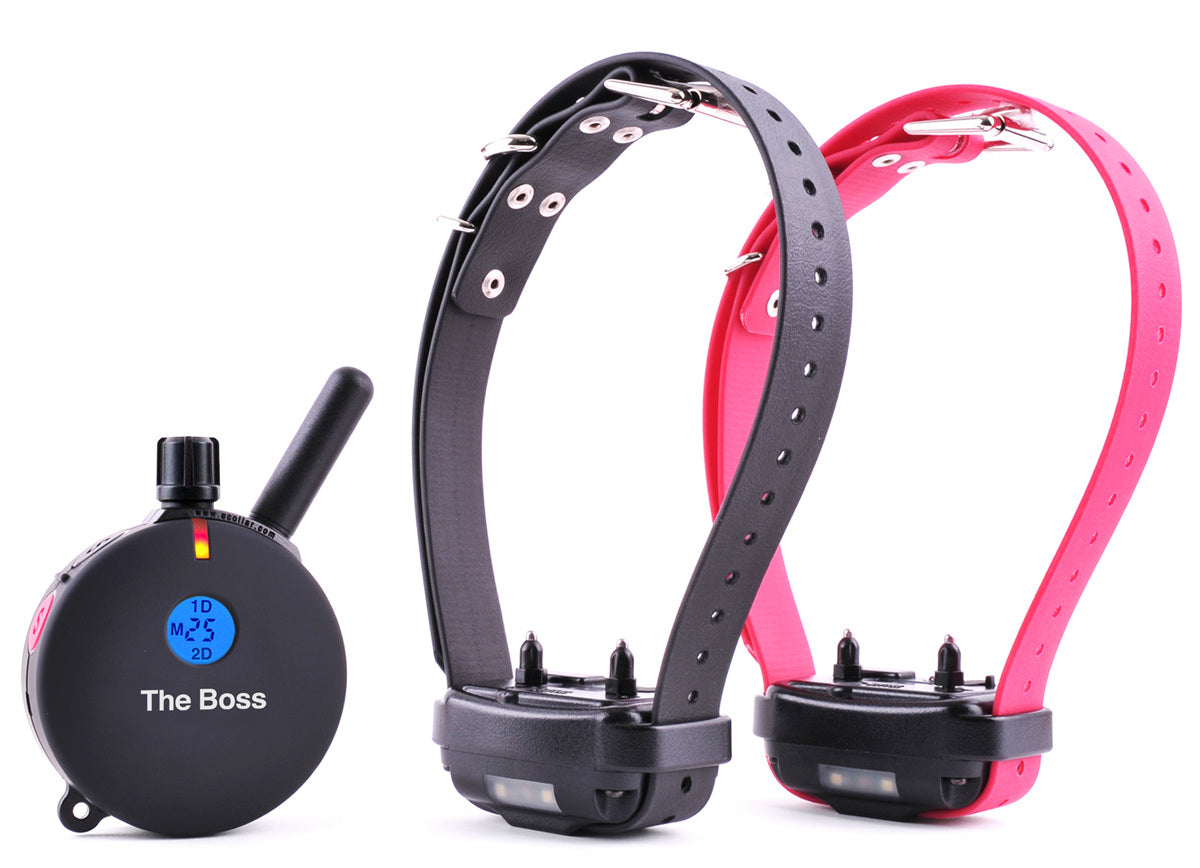 ET-802 The Boss two-dog remote trainer system