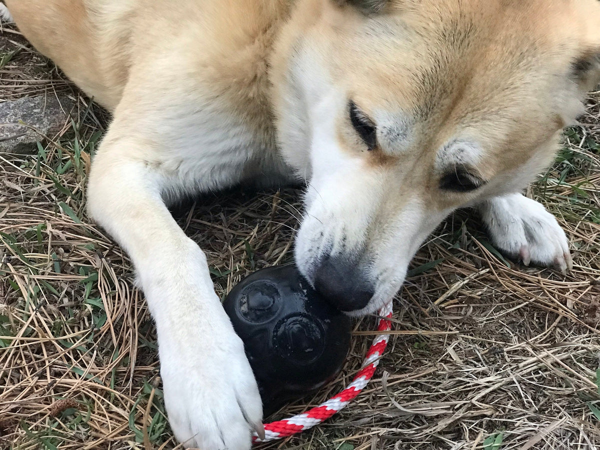 USA-K9 Skull Chew Toy and Treat Dispenser Large