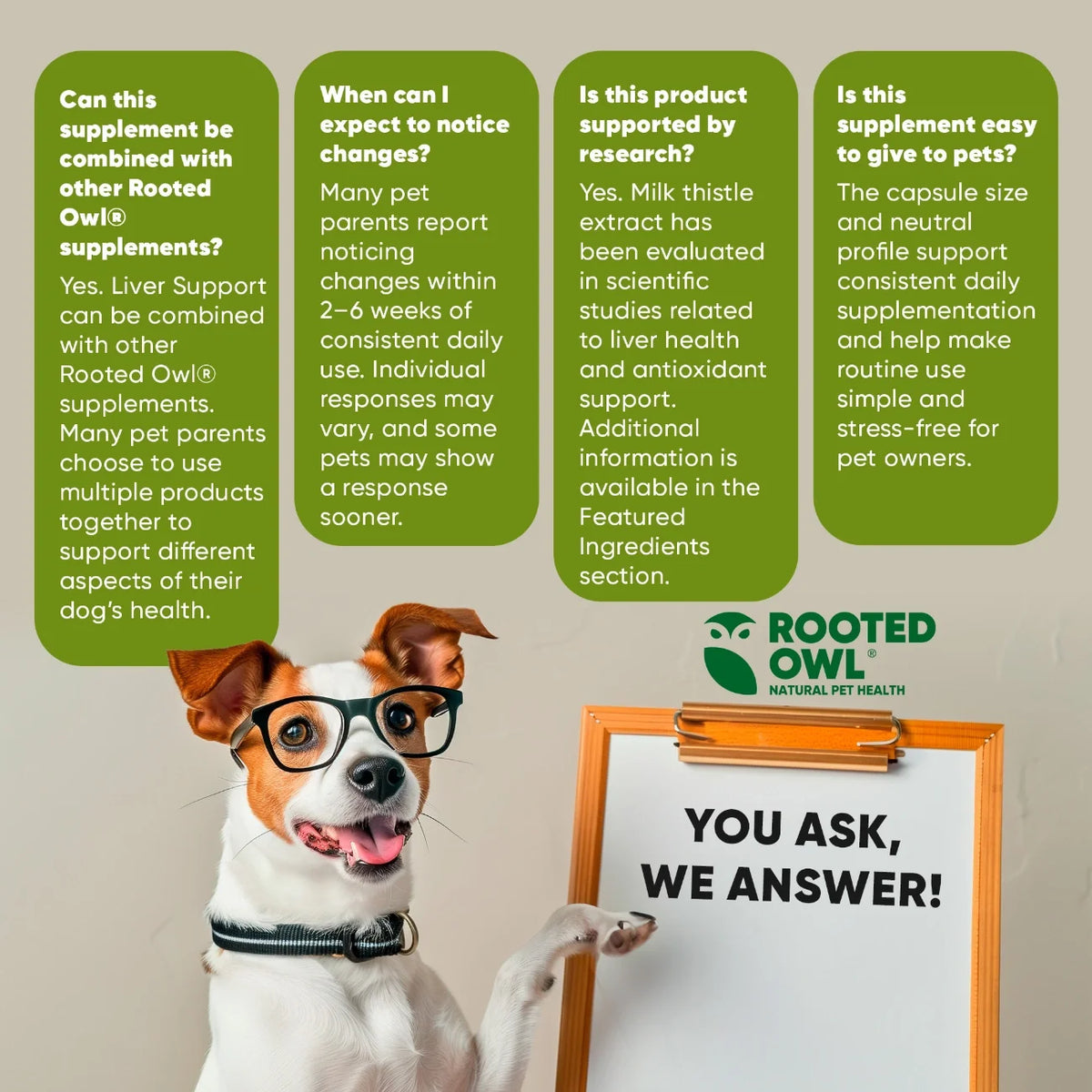 Liver Support for Dogs