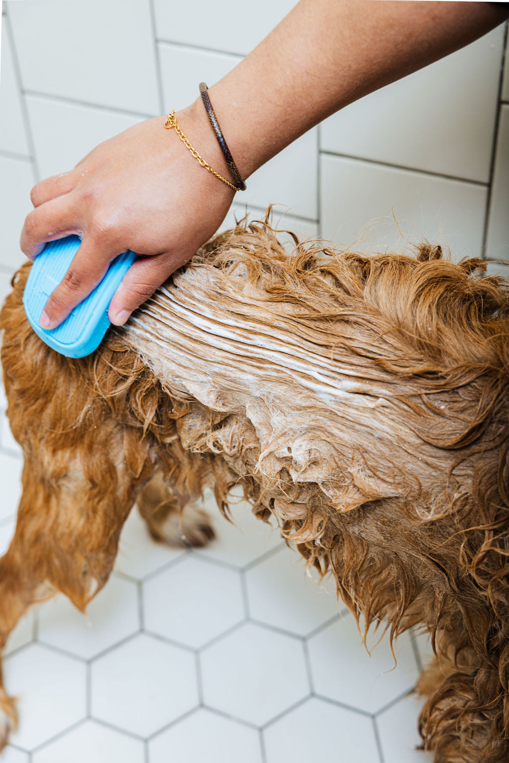 Cleo&Hooman Spritz Dog Shampoo and Conditioner Duo