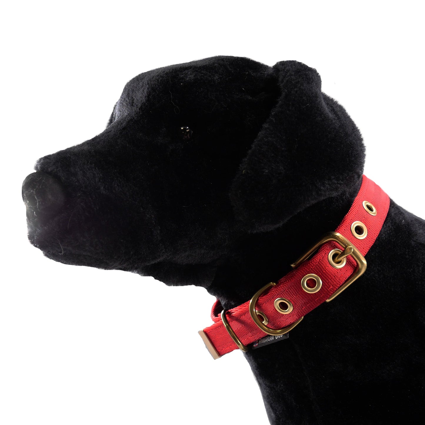Collars Seatbelt Dog Collar
