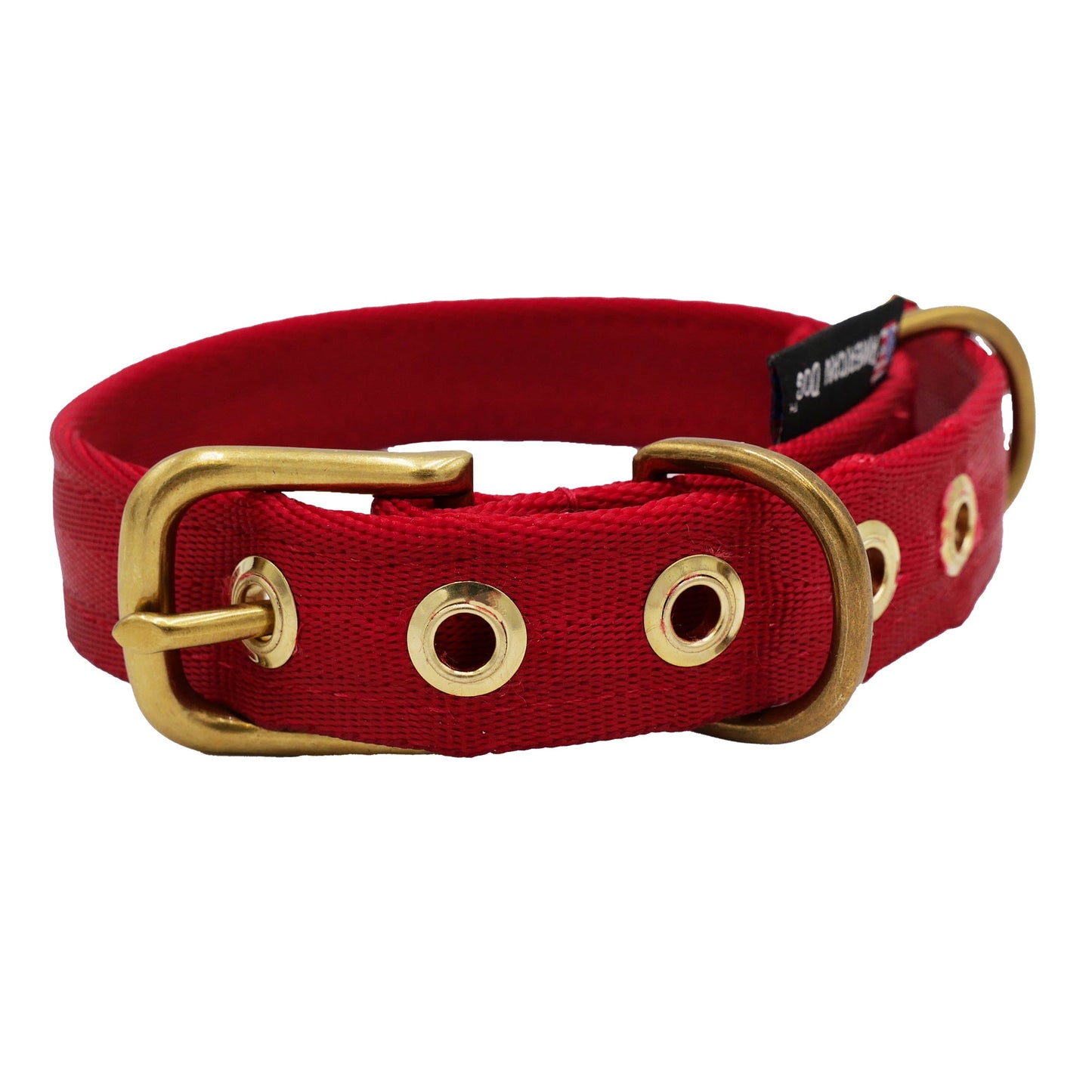 Collars Seatbelt Dog Collar