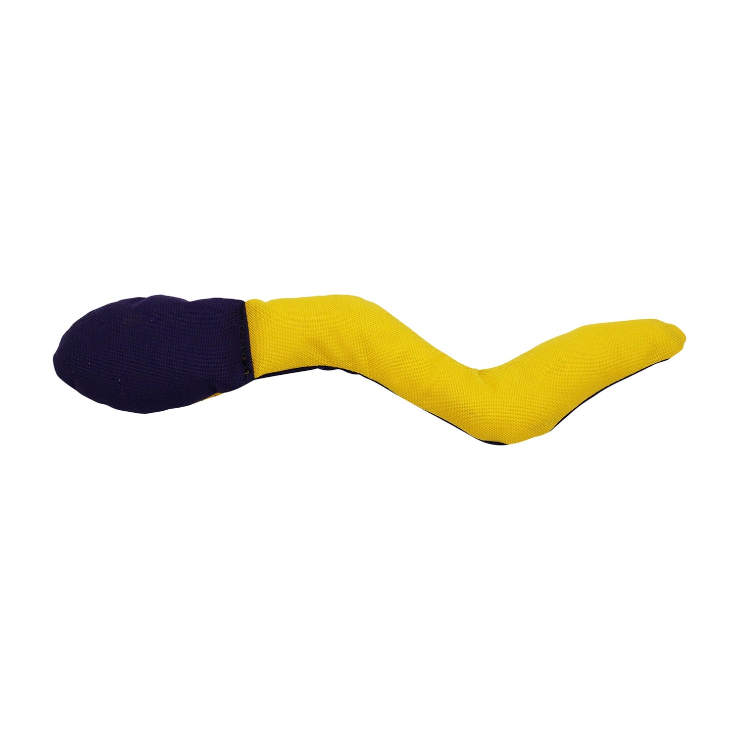Wiggle Worm Squeaky Fetch and Tug Dog Toy