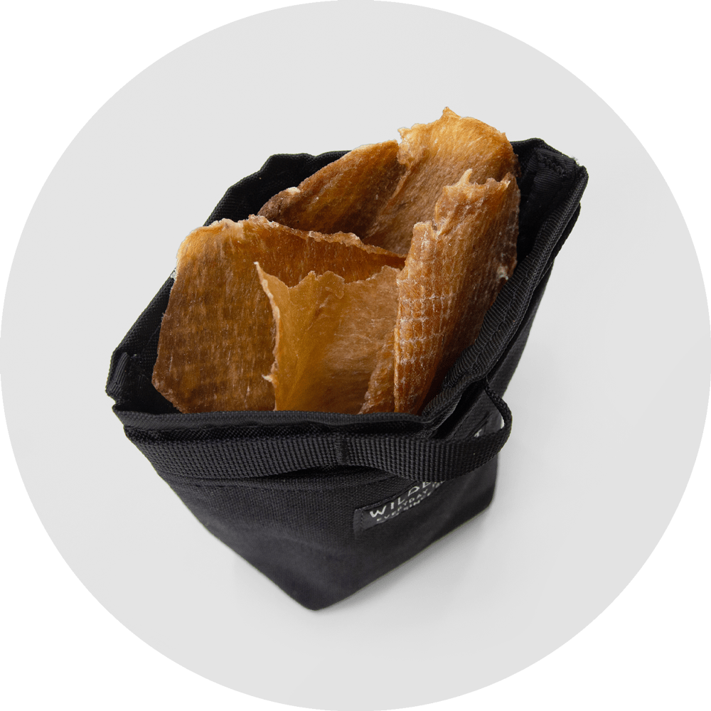 Alamo Dog Treat Pouch