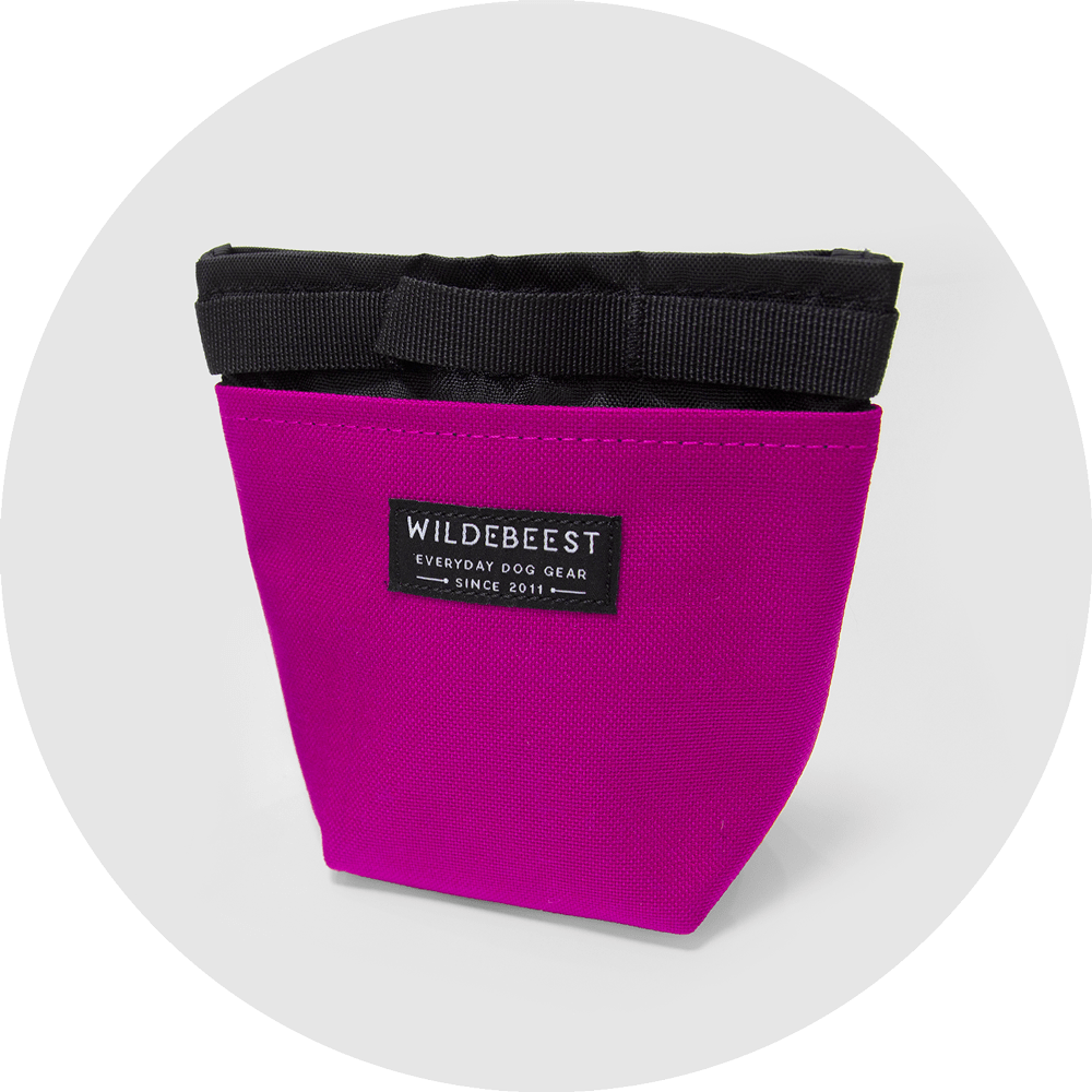 Alamo Dog Treat Pouch