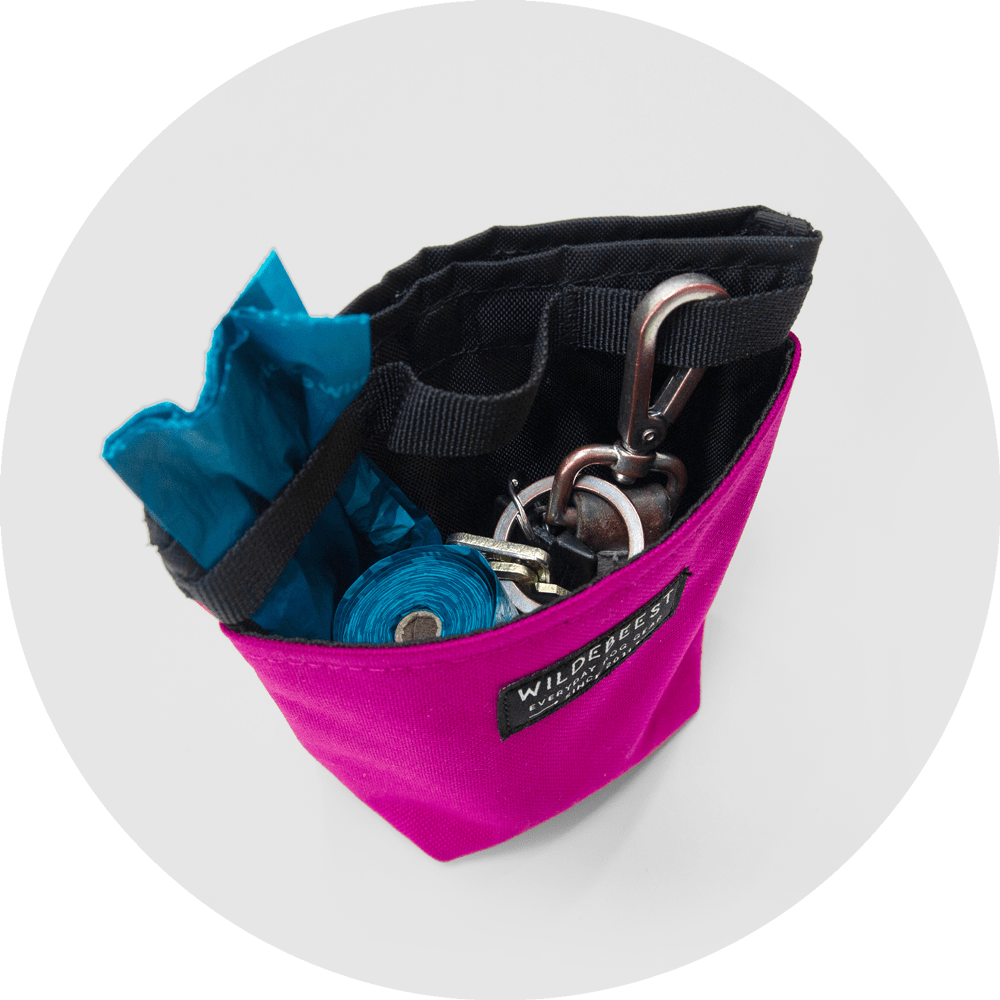 Alamo Dog Treat Pouch