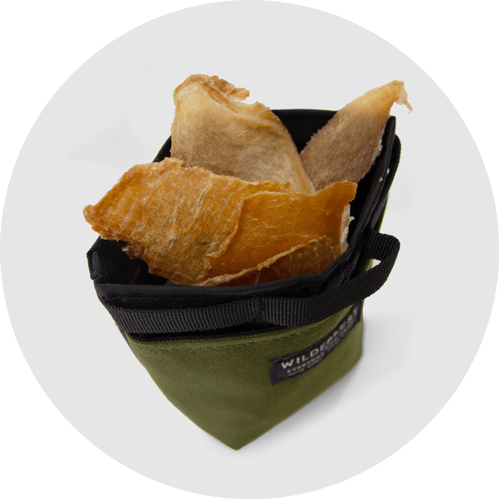Alamo Dog Treat Pouch