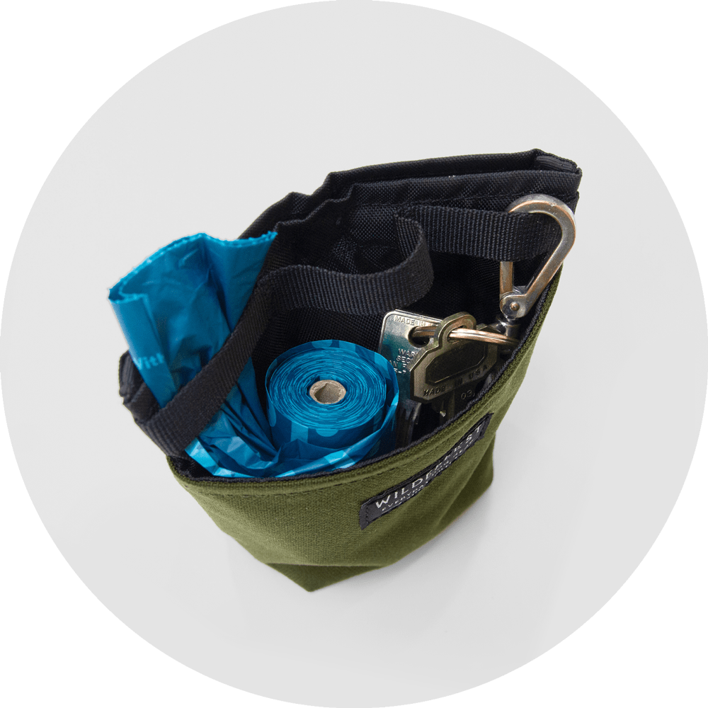 Alamo Dog Treat Pouch