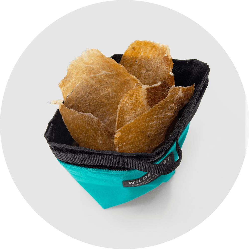 Alamo Dog Treat Pouch
