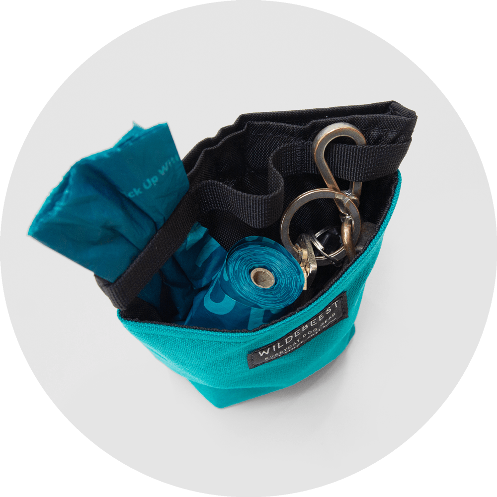 Alamo Dog Treat Pouch