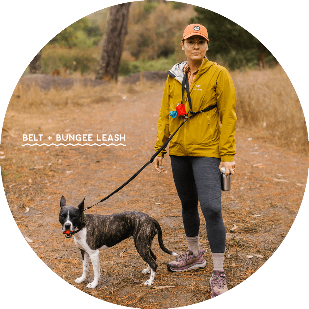 Ashbury Hands-Free Dog Leash