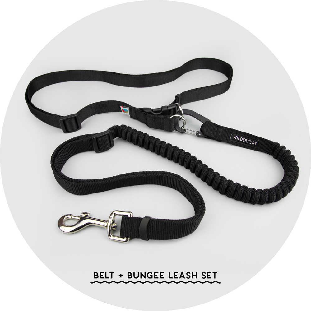 Ashbury Hands-Free Dog Leash