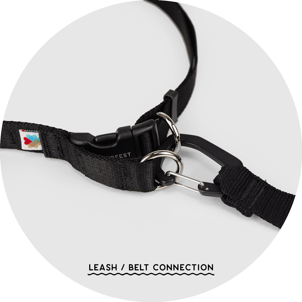 Ashbury Hands-Free Dog Leash