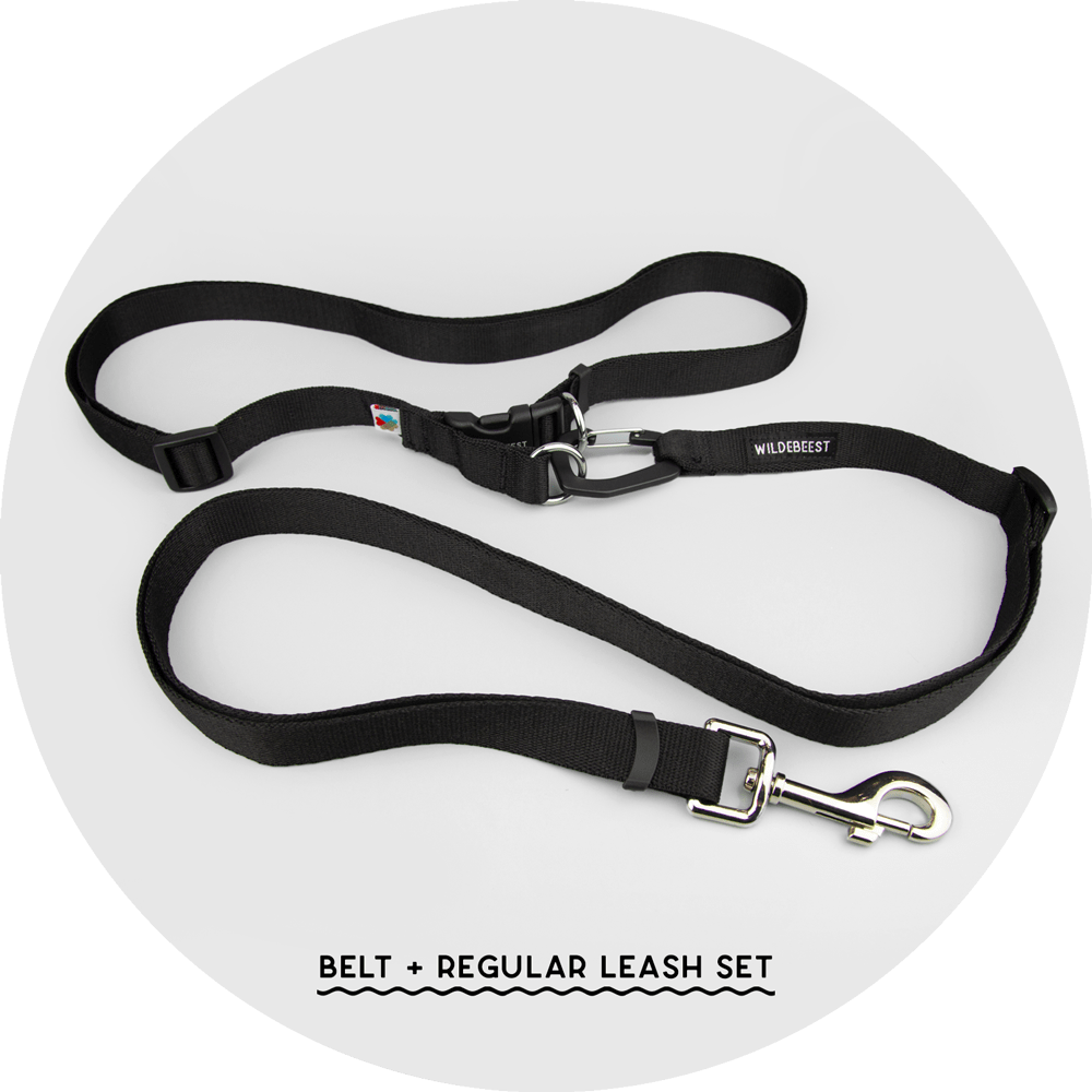 Ashbury Hands-Free Dog Leash