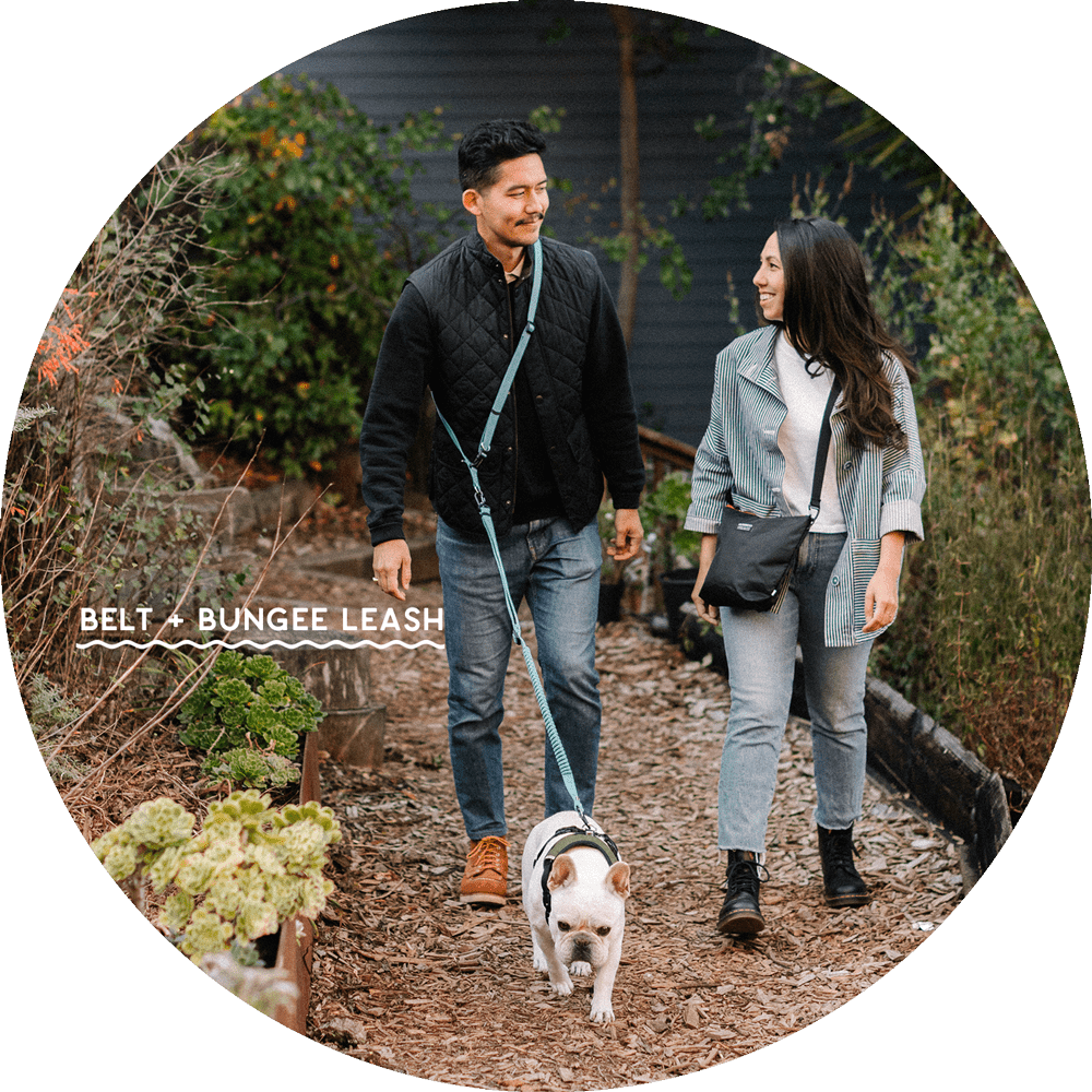 Ashbury Hands-Free Dog Leash