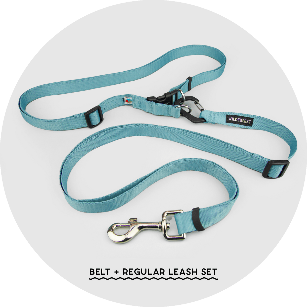 Ashbury Hands-Free Dog Leash